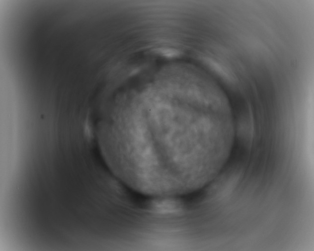 X0000092080181200709262111