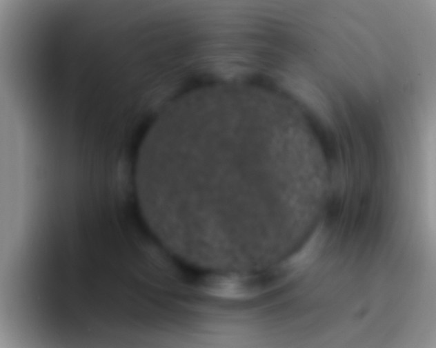 X0000092080182200709262111