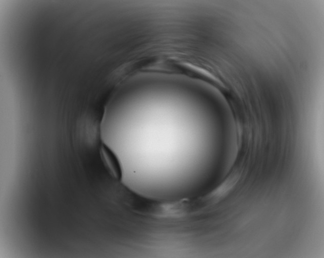 X0000092080188200709262111