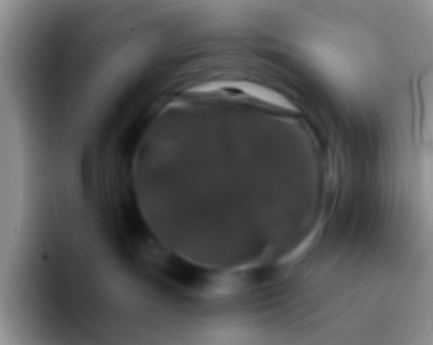 X0000092080191200709262111