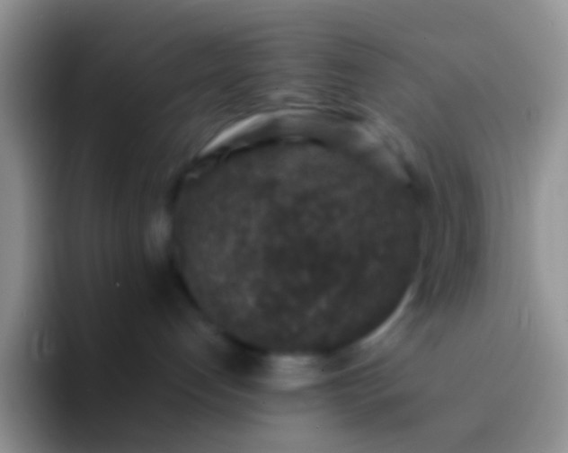 X0000092080192200709262111