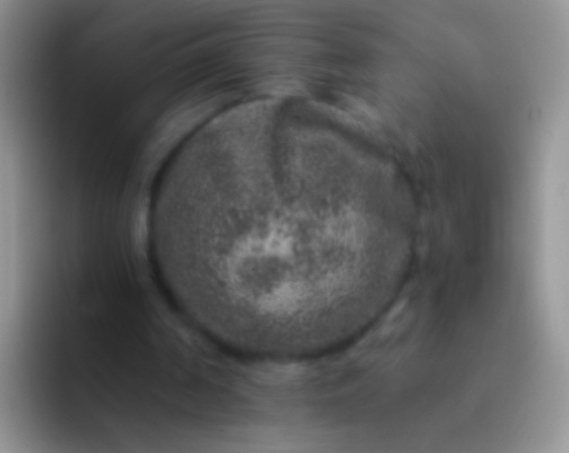 X0000092080194200709262110