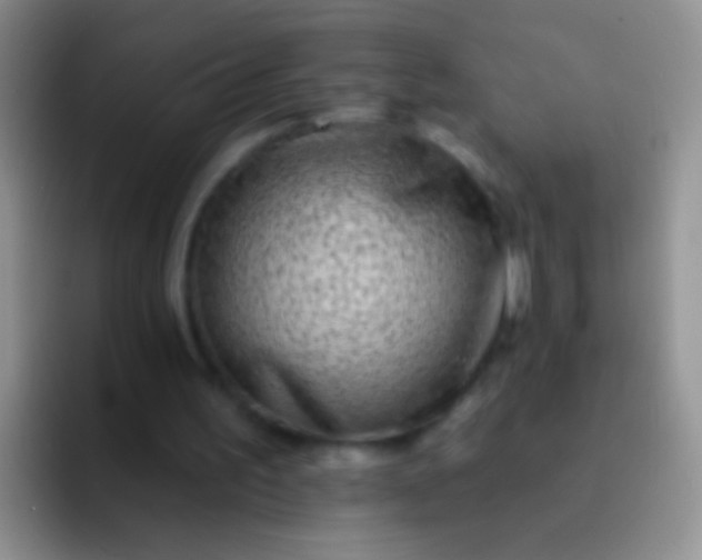 X0000092080195200709262110