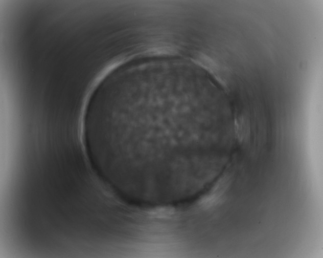 X0000092080196200709262110