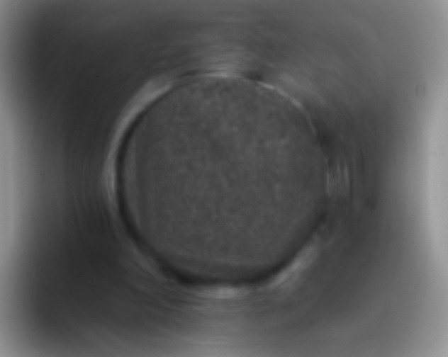 X0000092080198200709262110