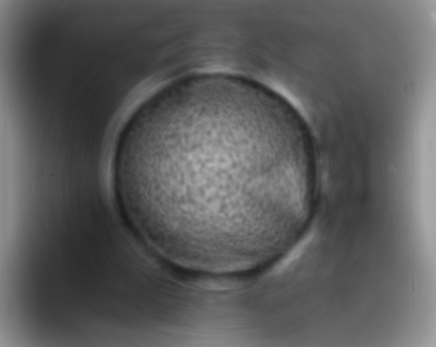 X0000092080199200709262110