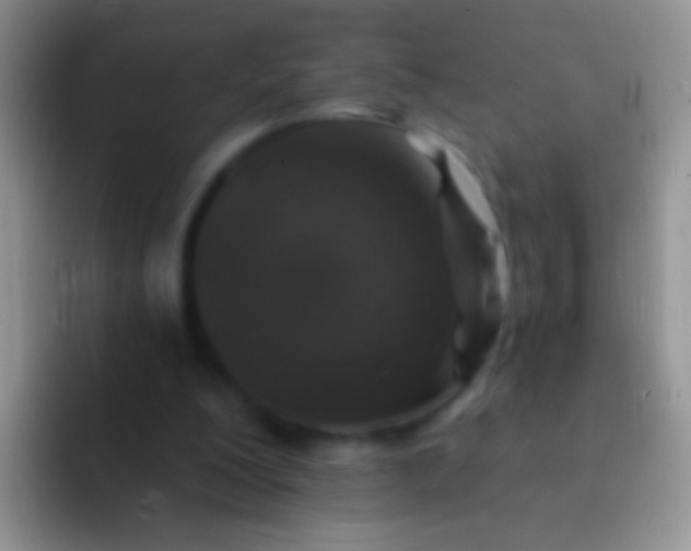 X0000092080200200709262110