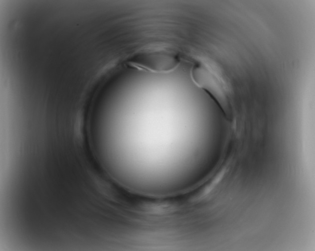 X0000092080201200709262110