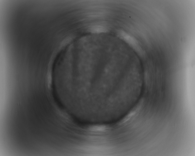 X0000092080202200709262110