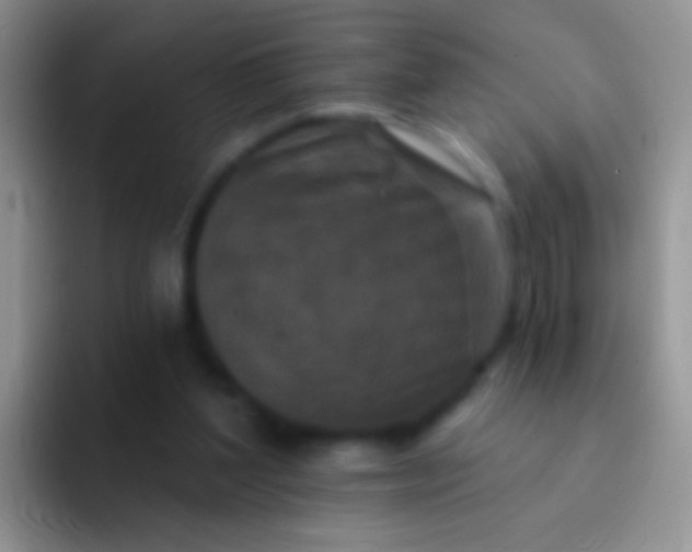 X0000092080204200709262110