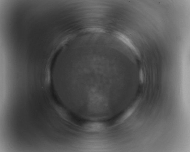 X0000092080205200709262110