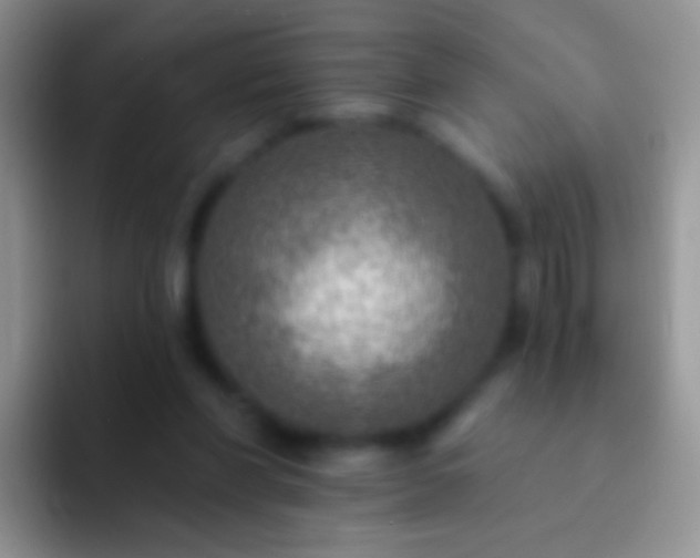 X0000092080206200709262110