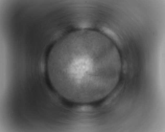 X0000092080210200709262110