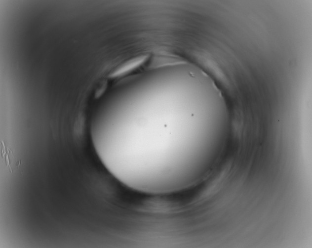 X0000092080211200709262110