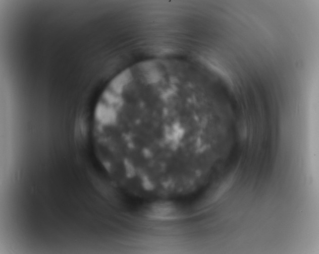 X0000092080214200709262110