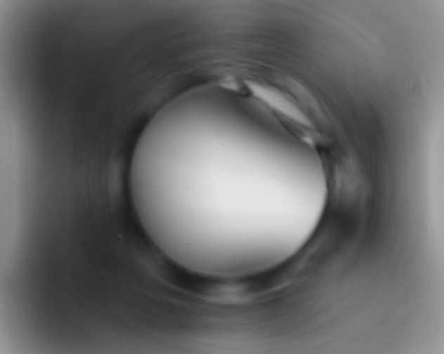 X0000092080217200709262110