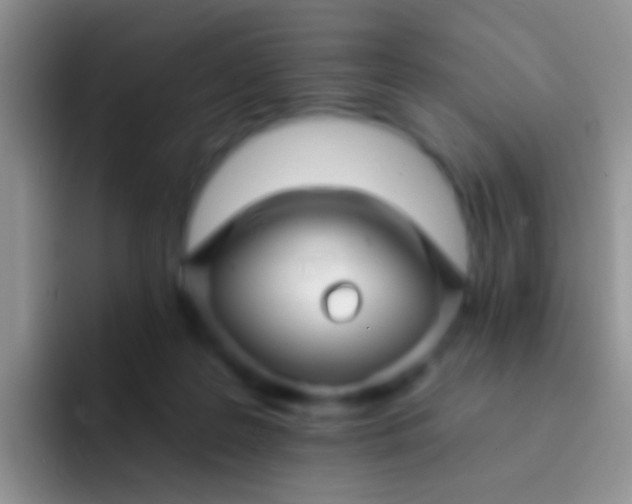 X0000092080219200709262110