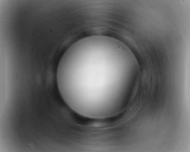 X0000092080220200709262110