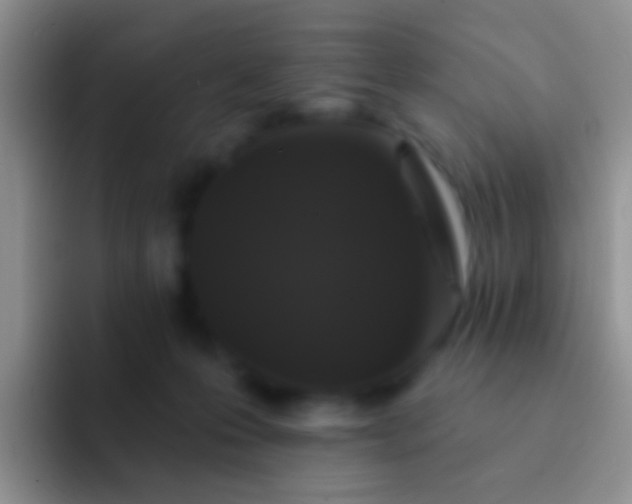 X0000092080223200709262110