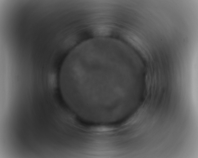 X0000092080224200709262110