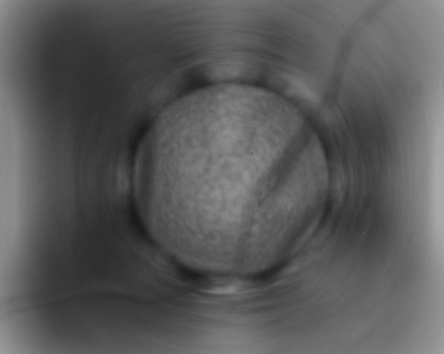 X0000092080226200709262110