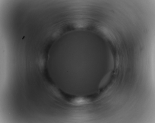 X0000092080227200709262110