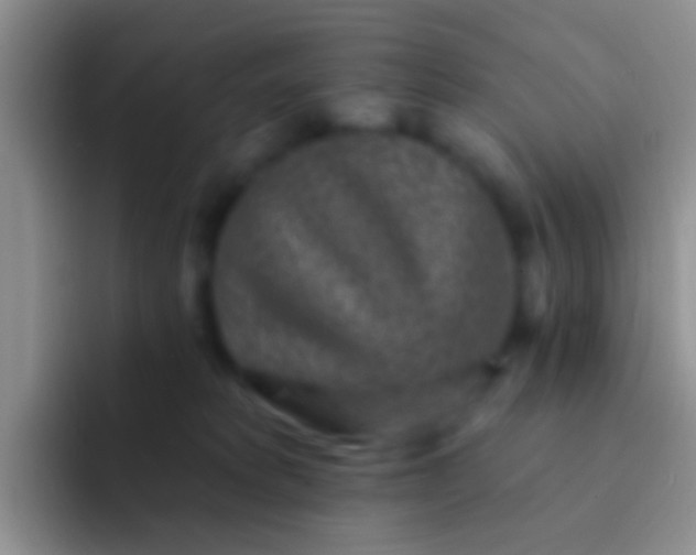 X0000092080229200709262110