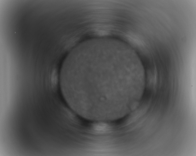 X0000092080230200709262110