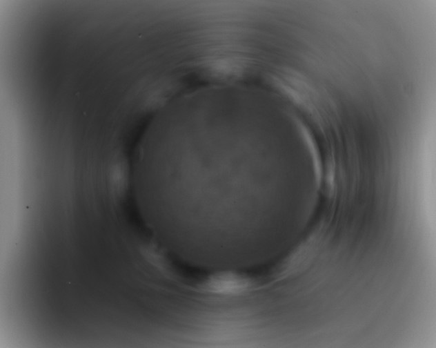 X0000092080231200709262110