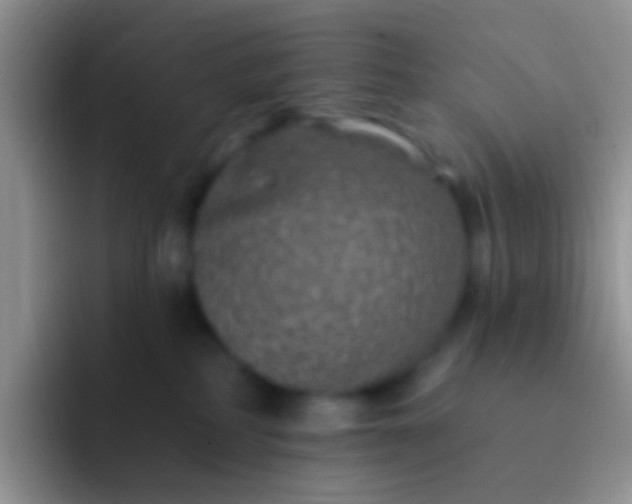 X0000092080234200709262110