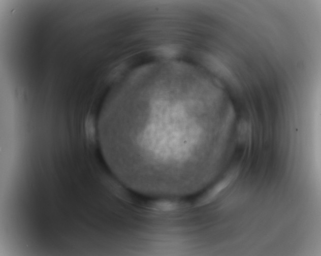 X0000092080238200709262110