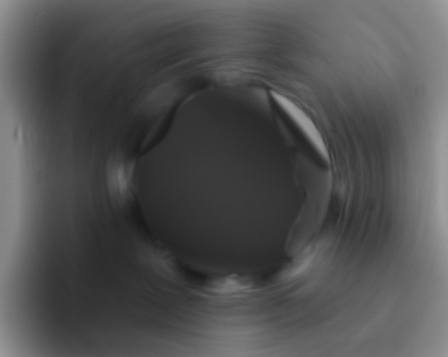 X0000092080239200709262110