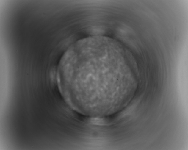 X0000092080240200709262110