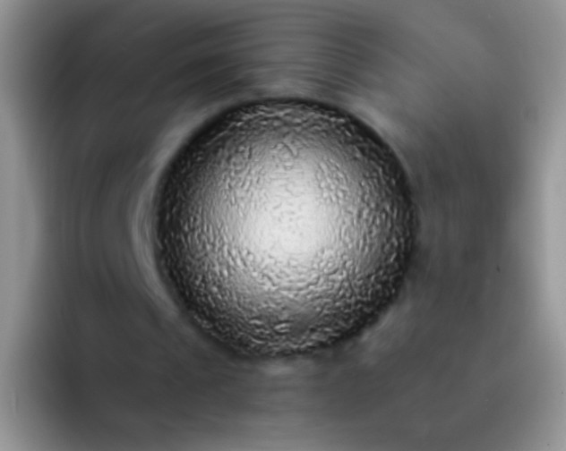 X0000092080241200709262109