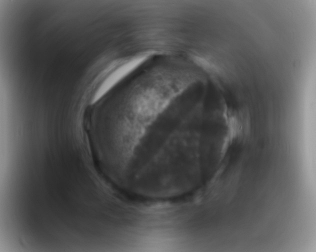 X0000092080243200709262109