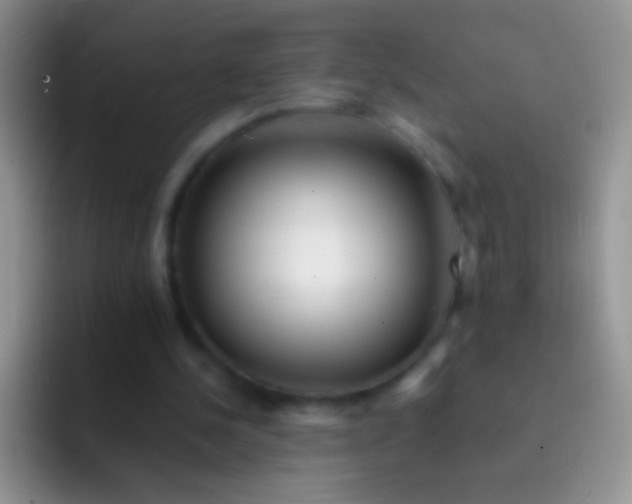 X0000092080244200709262109