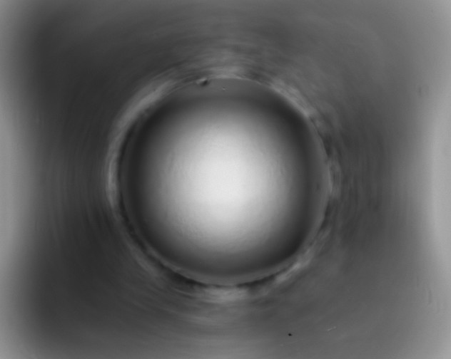 X0000092080245200709262109