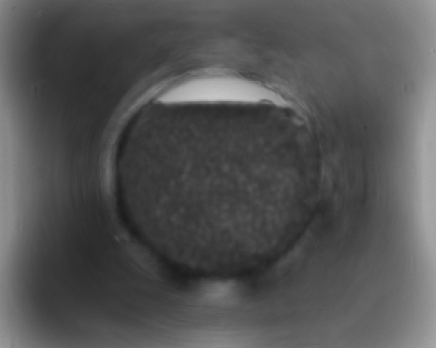 X0000092080247200709262109