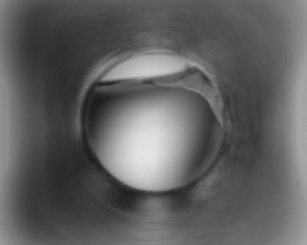 X0000092080248200709262109