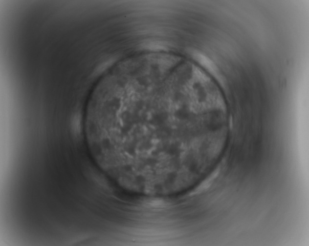 X0000092080249200709262109