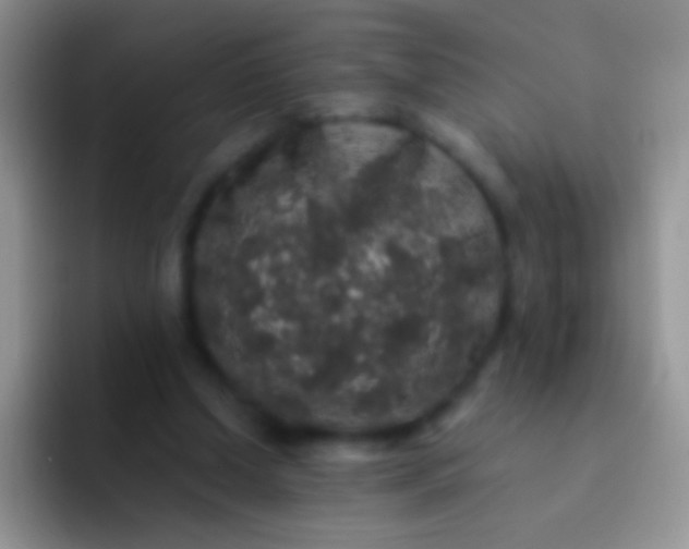 X0000092080250200709262109