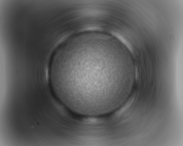 X0000092080253200709262110