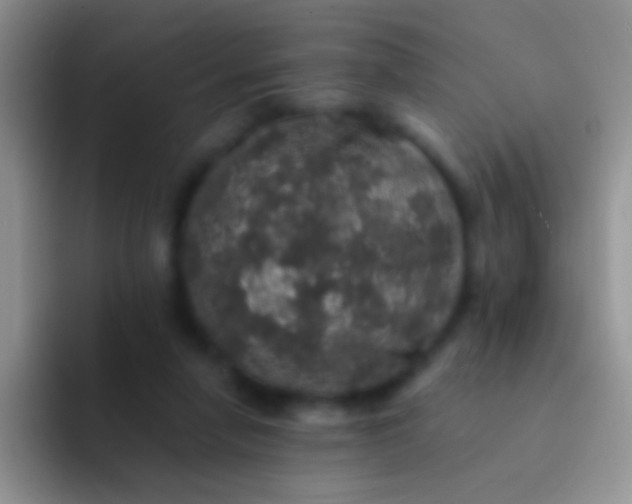 X0000092080258200709262110