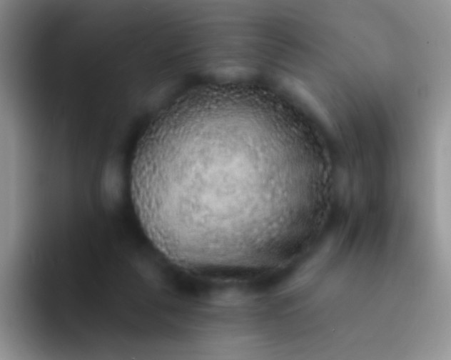 X0000092080259200709262110