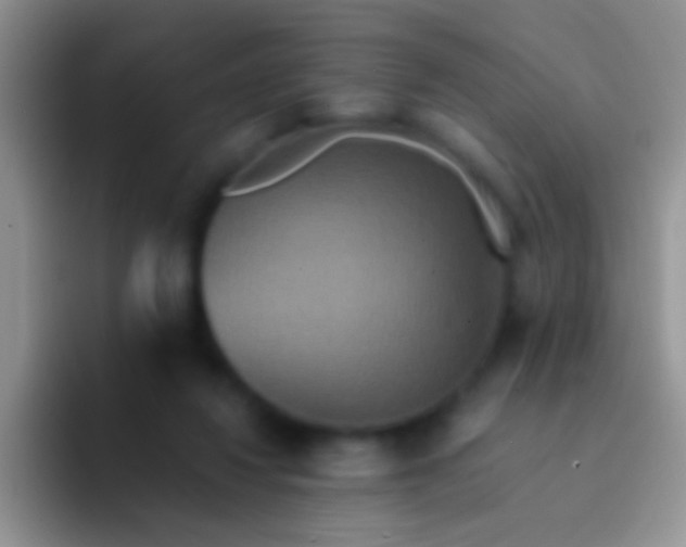 X0000092080260200709262110