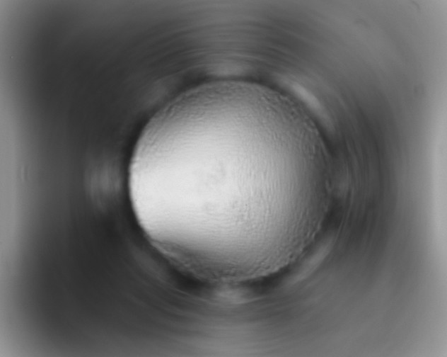 X0000092080261200709262110