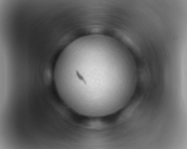 X0000092080262200709262110