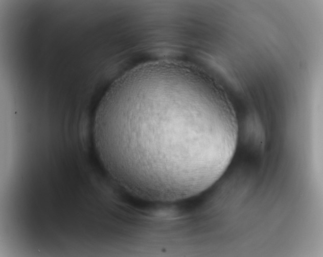 X0000092080263200709262110