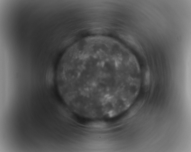 X0000092080266200709262110