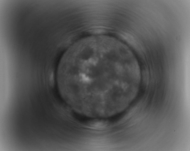 X0000092080267200709262110